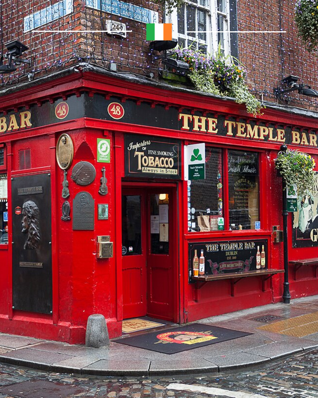 Design sem nome (21)